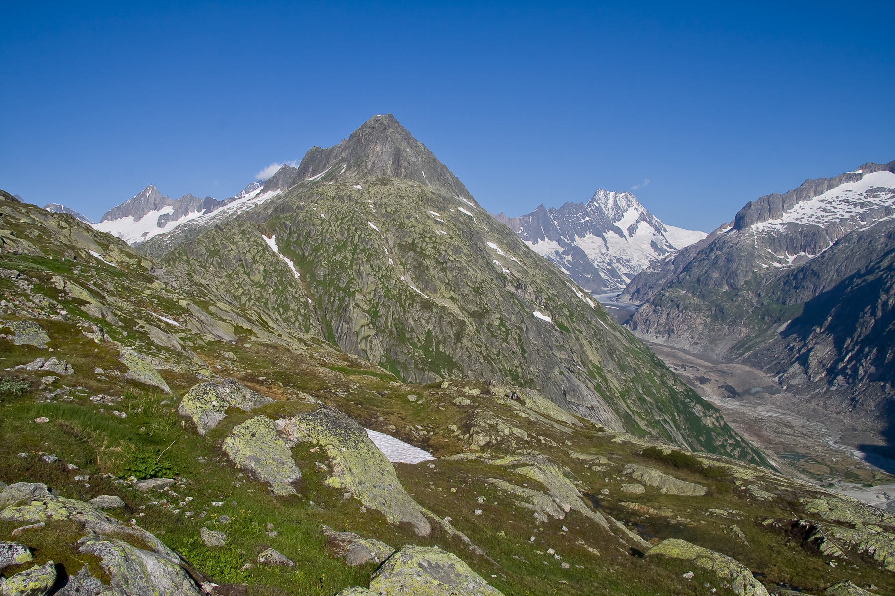 links: Oberaarhorn (3.631 m)- rechts: Lauteraarhorn (4.042 m).
