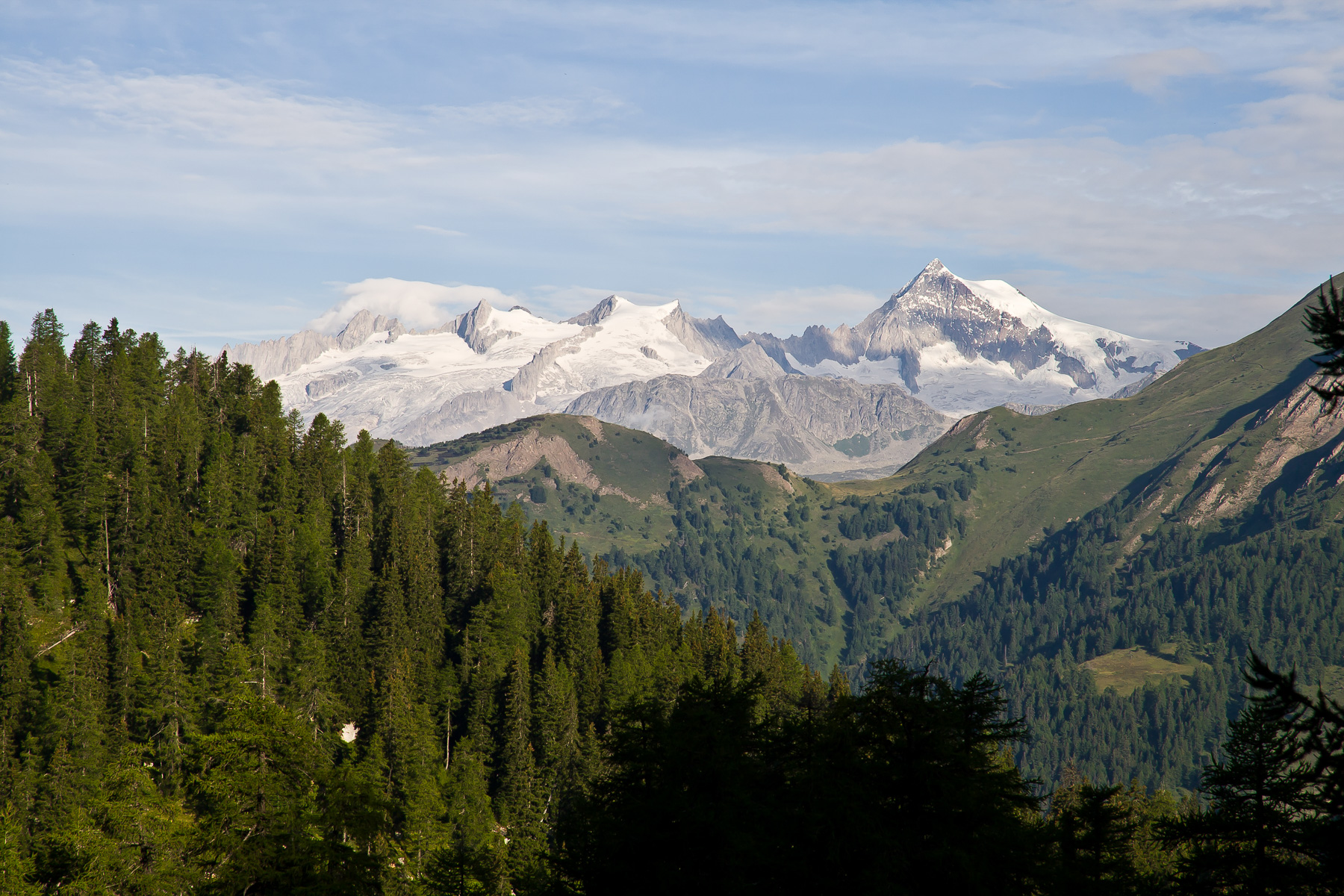 Blick zum Aletschhorn.