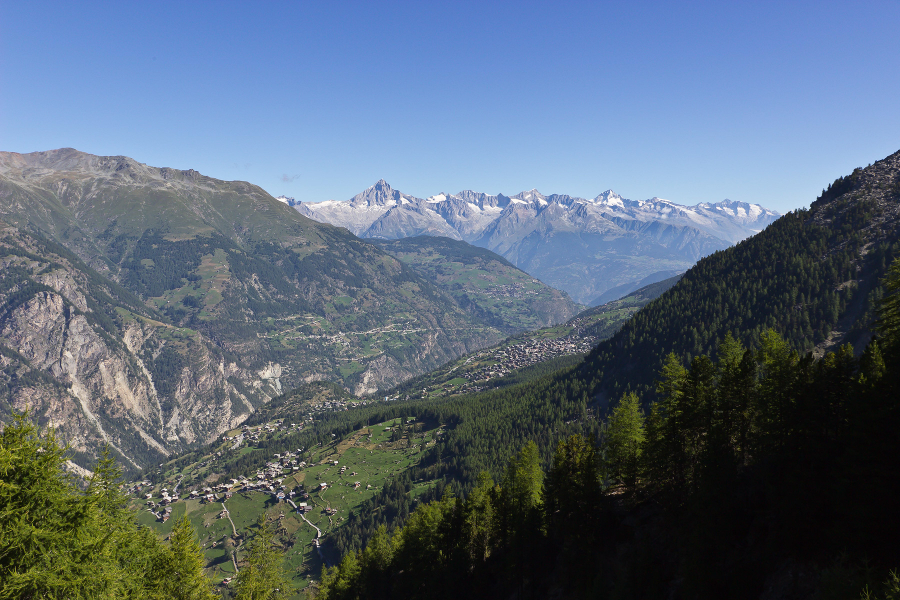 Das Bietschhorn und die Berner Alpen dienen als Kulisse.