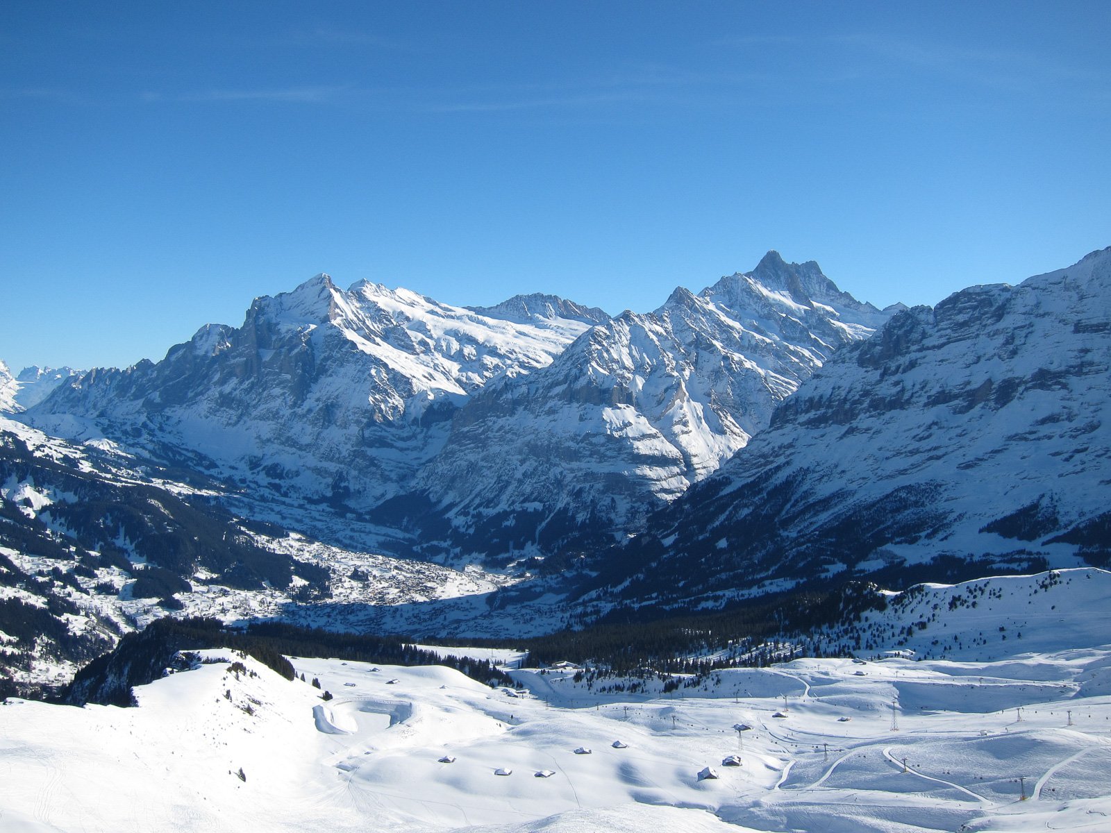 Blick auf Grindelwald mit Wetterhorn, Schreckhorn und Lauteraarhorn.