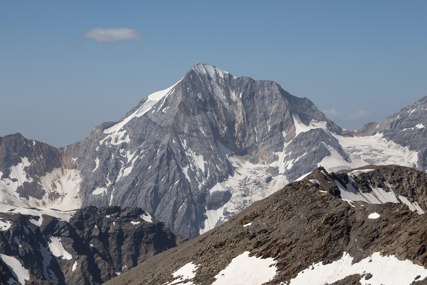 Blick zur Königspitze (3.851 m).