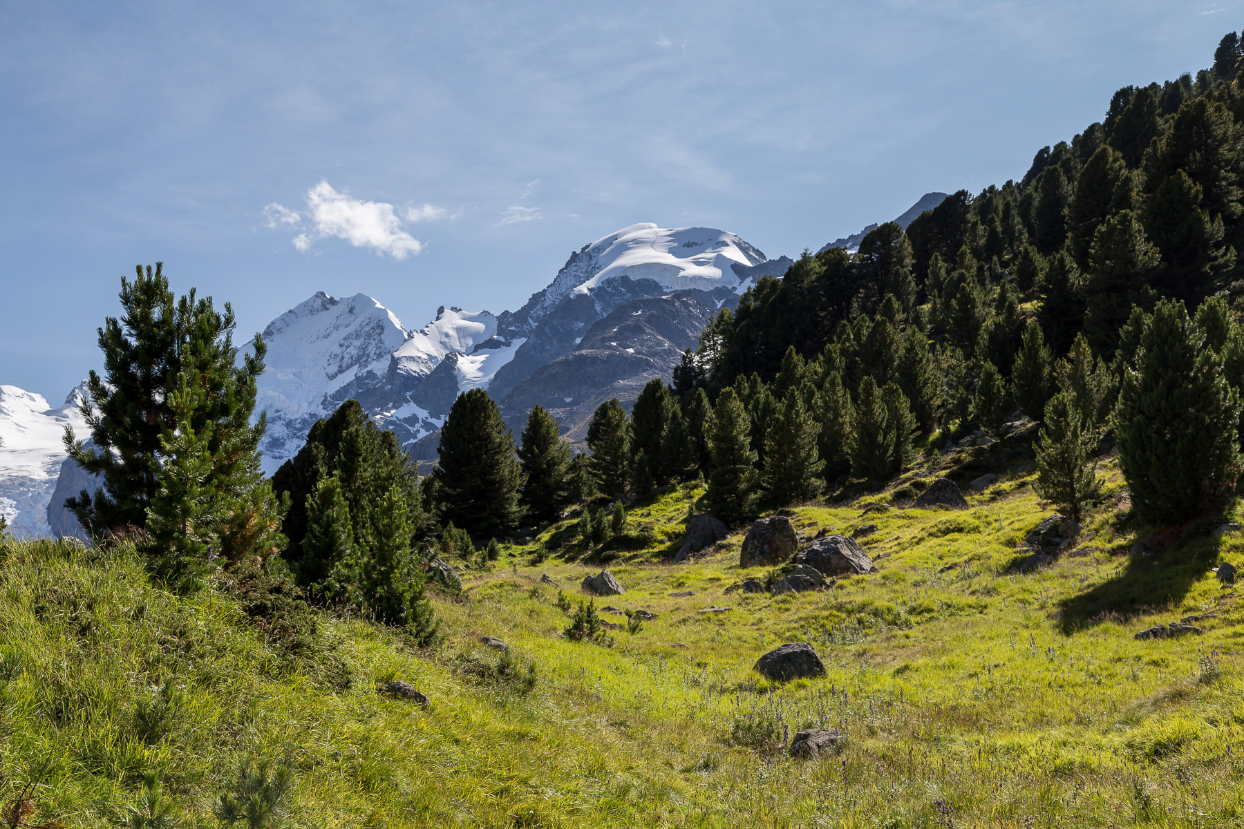 Piz Bernina (4.049 m) und Piz Morteratsch (3.751 m)