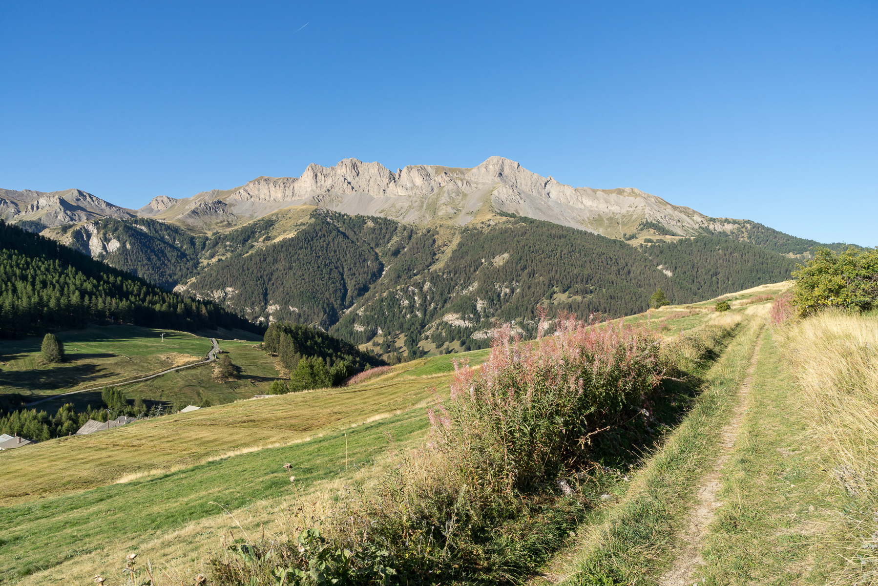 Wiesen, Berge, blauer Himmel mit Pointe de Rasis (2.844 m).