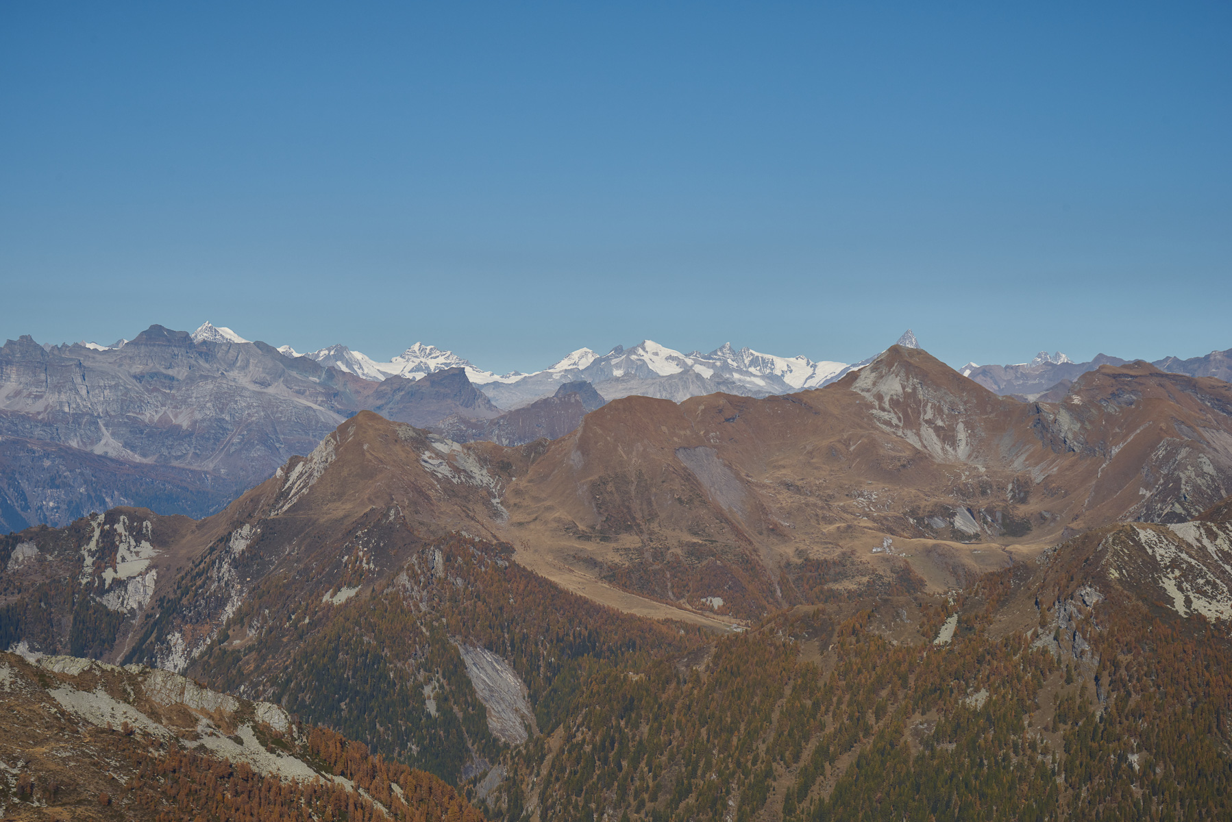 Aletschhorn, Jungfrau, Mönch, Gross Fiescherhorn und Gross Grünhorn.