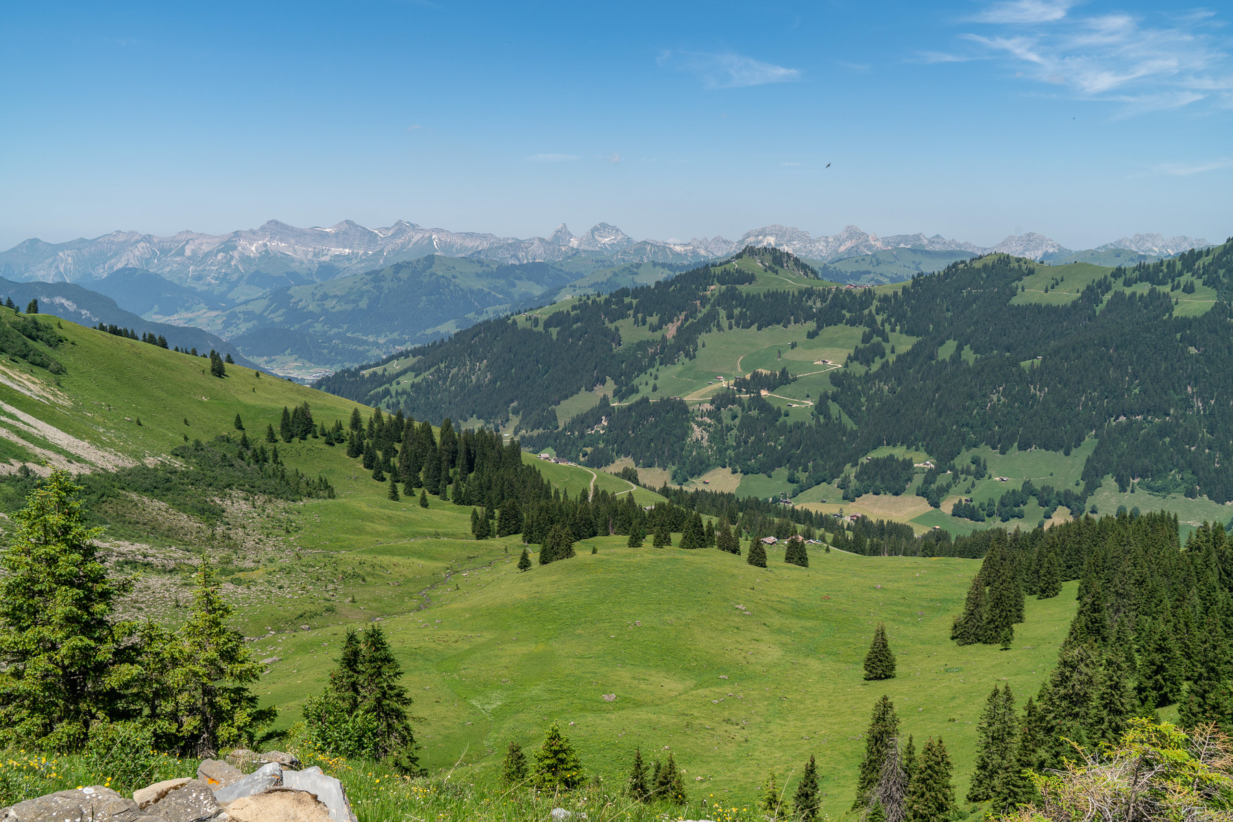 Blick auf die Freiburger Alpen