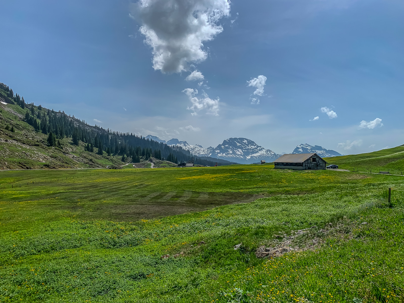 voraus der Chaiserstock