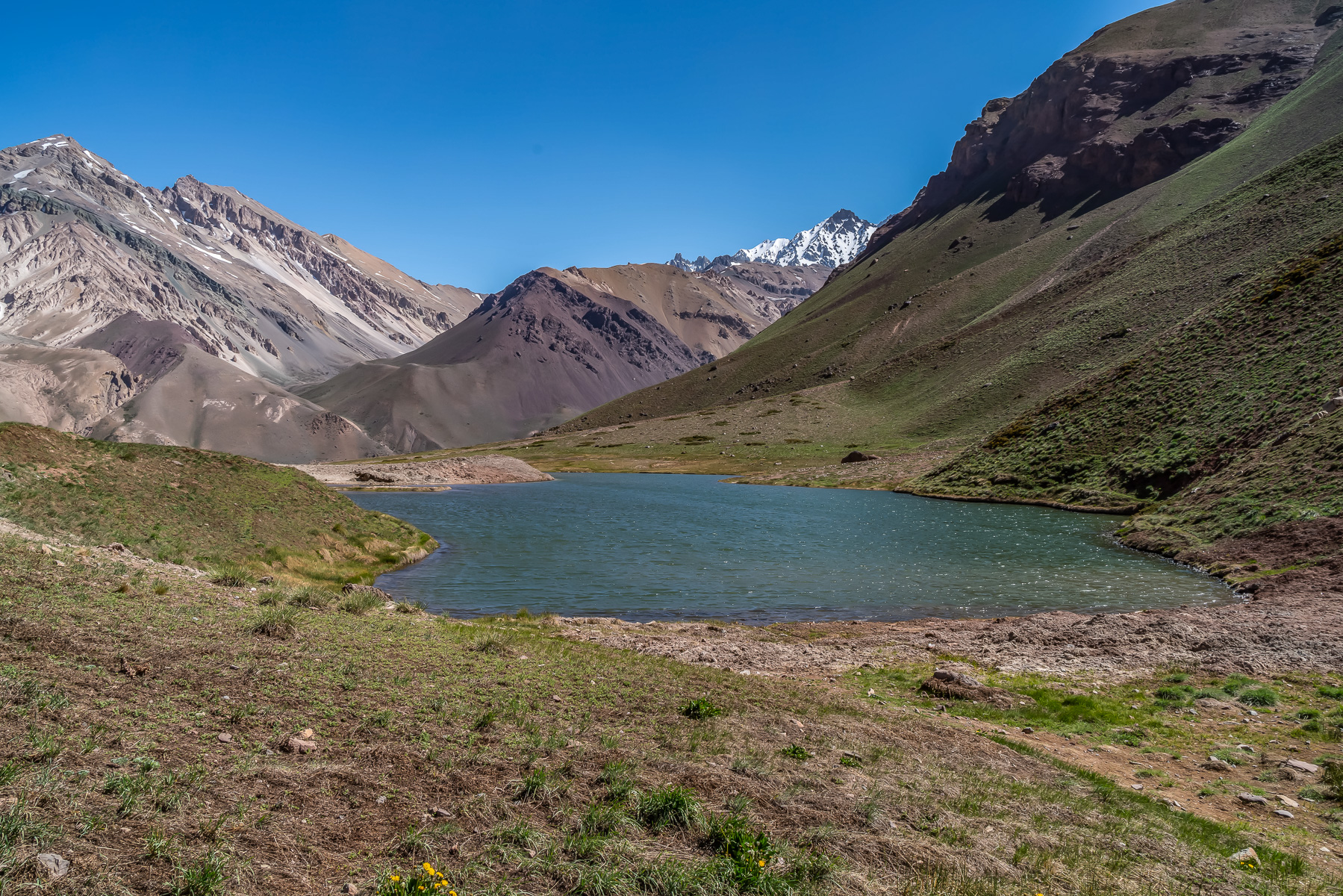 Es wird wieder grün!