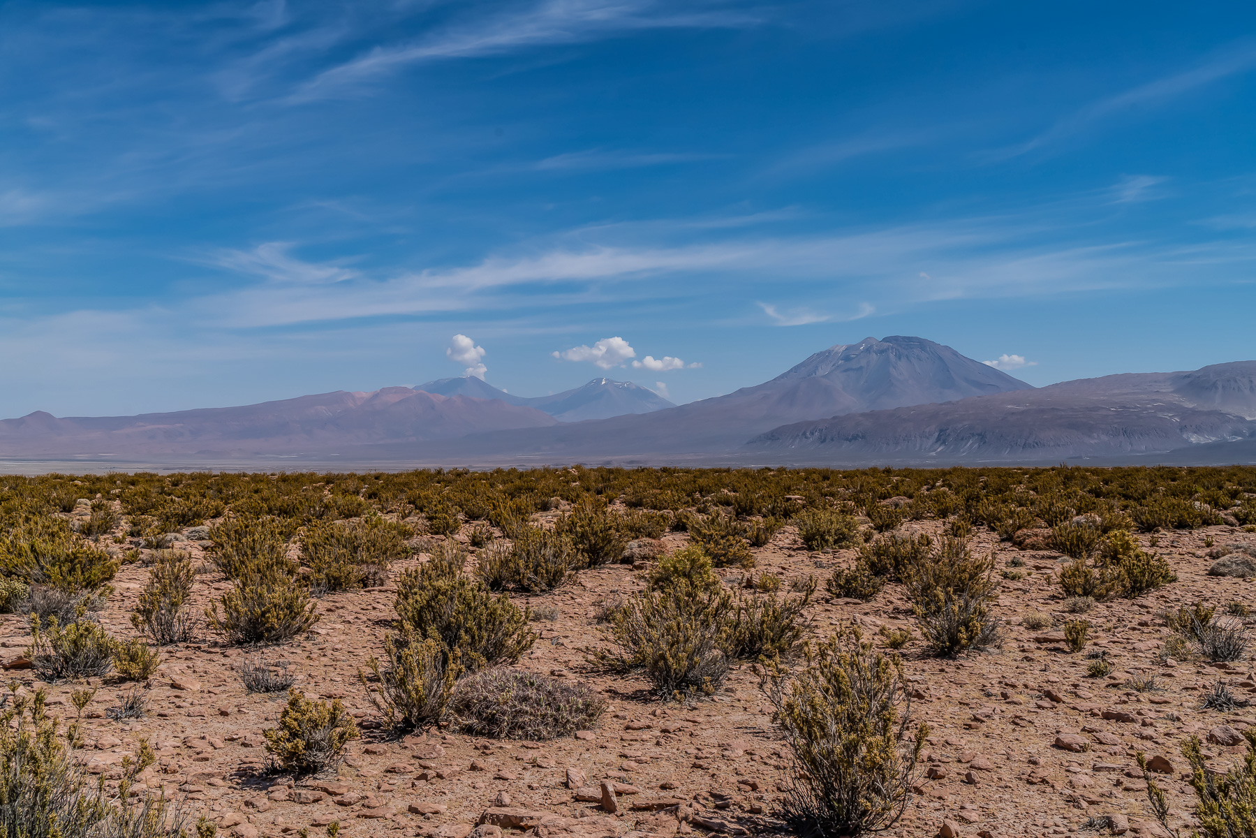 Im Norden winken schon die nächsten Berge wie San Pedro und Paniri.