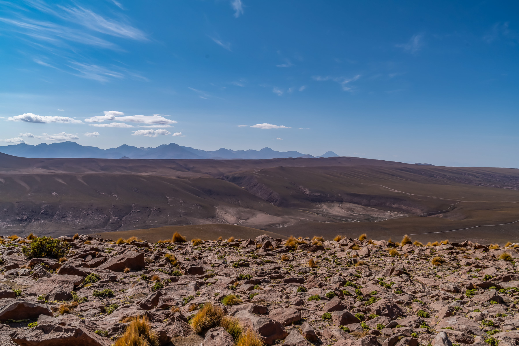 Blick bis zum Licancabur